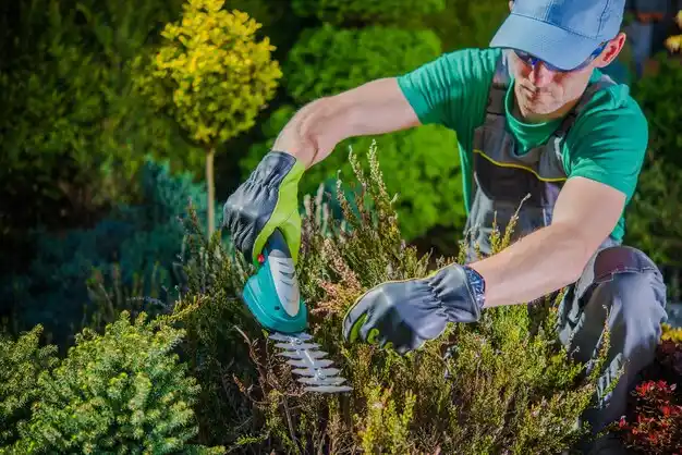 landscaping services Hattiesburg